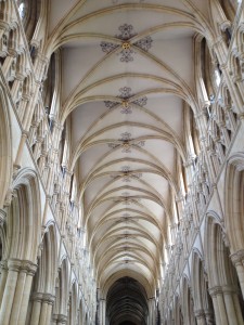 York NEH 327