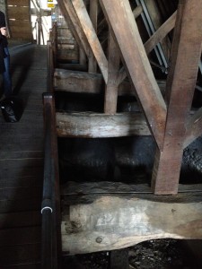 York NEH 333