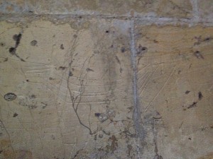 York NEH 366